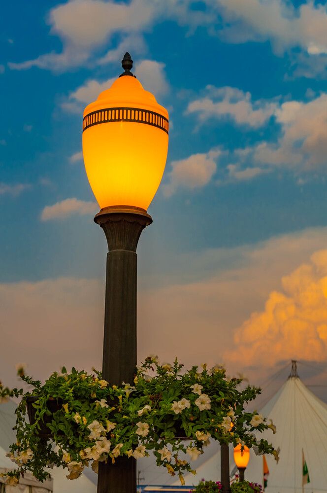 Photograph by Marco Lopes