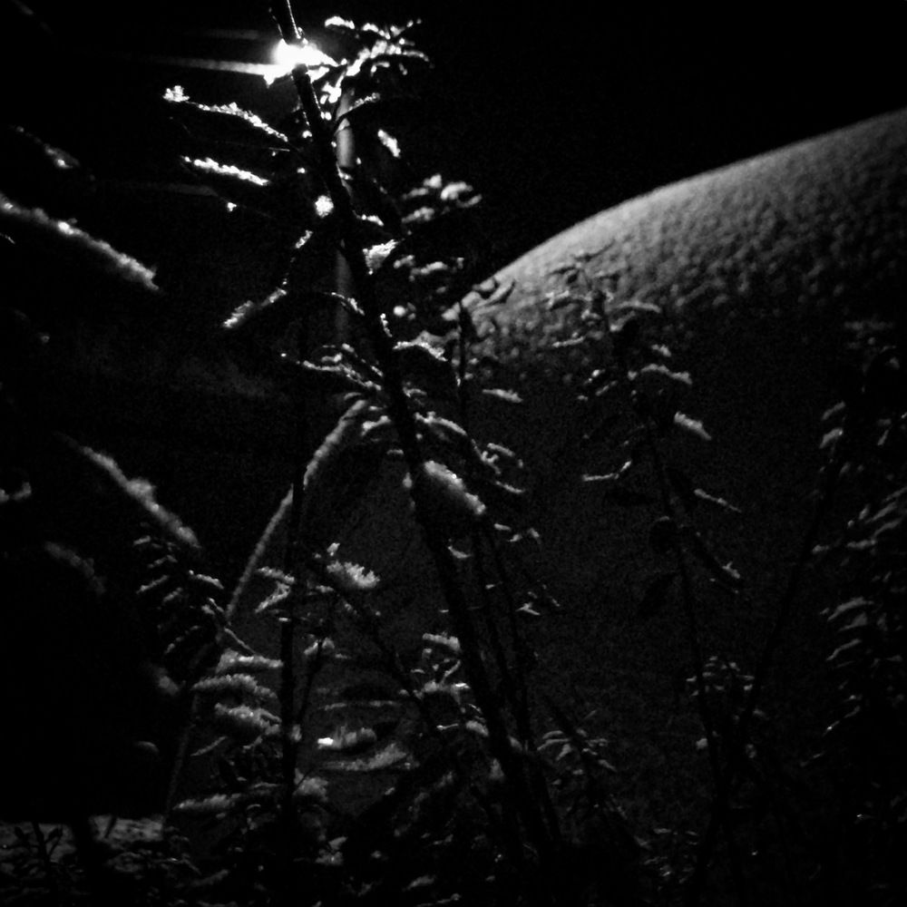 Photograph by Саровская Ника