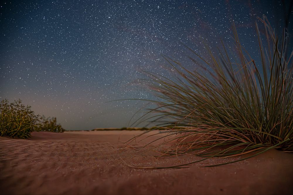 Photograph by Omnia Elshabrawy