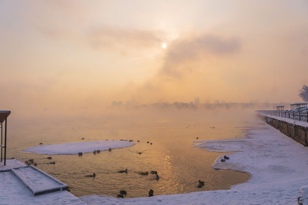 Photograph by Александр Пургин