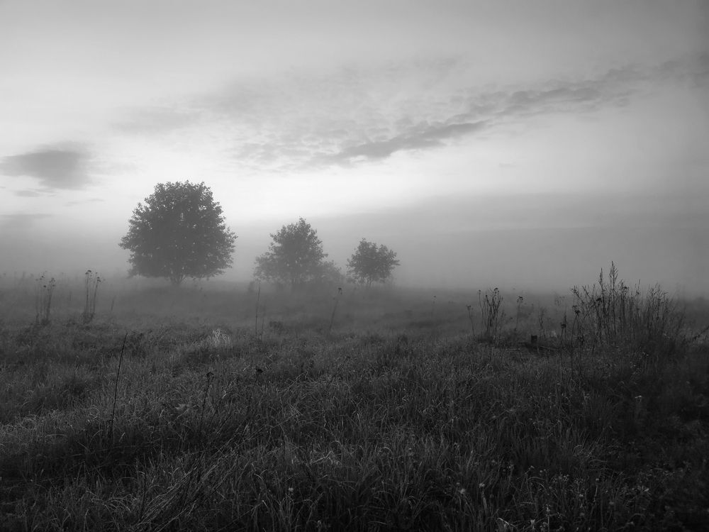 Фотография автора Андрей Шестаков