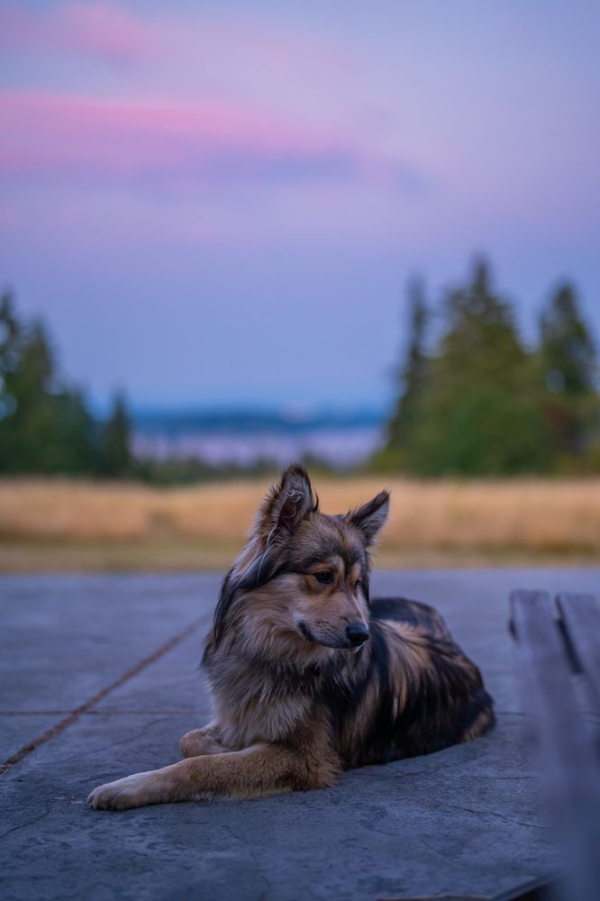 Фотография автора Borisova Natalia