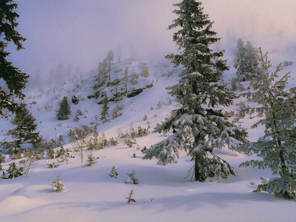 Photograph by Николов Андриян