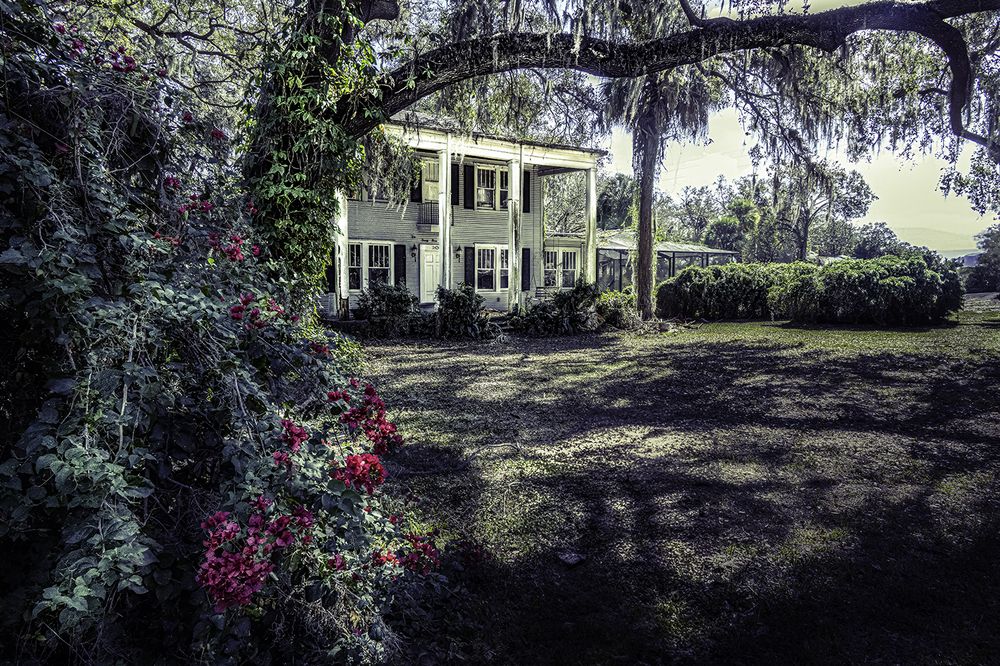 Фотография автора Ray Asiala