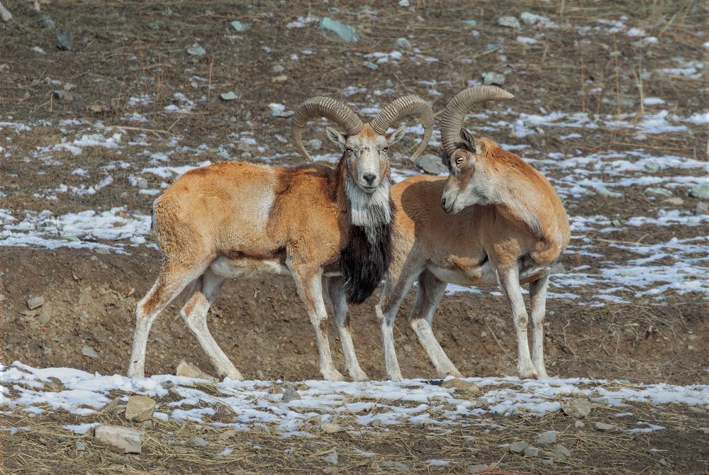 Photograph by Amin Maleki