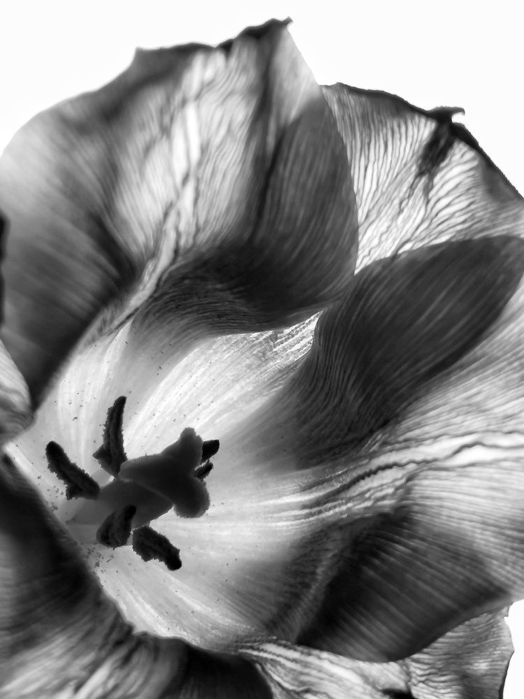 Photograph by Анна Кош