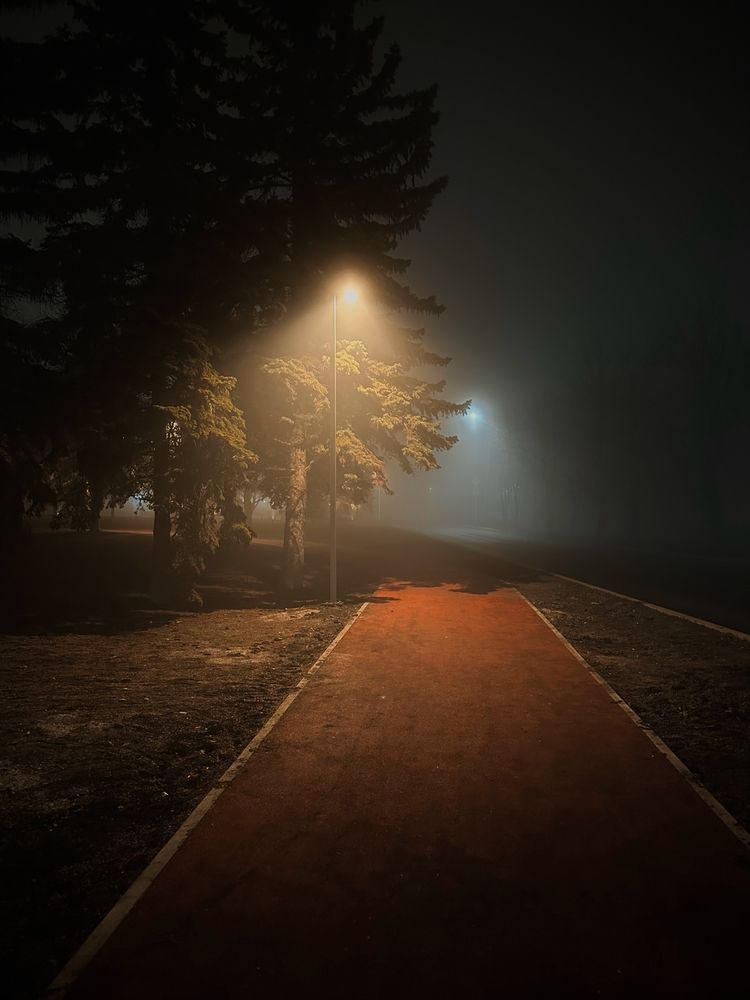 Photograph by Maxim Butz