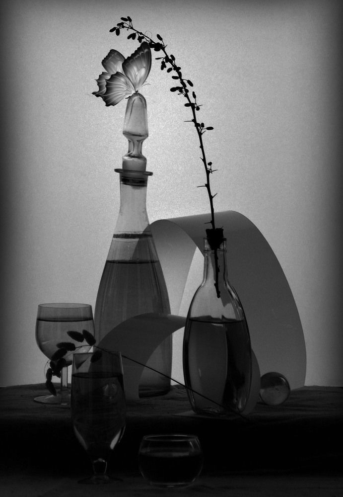 Photograph by Александр Зарх