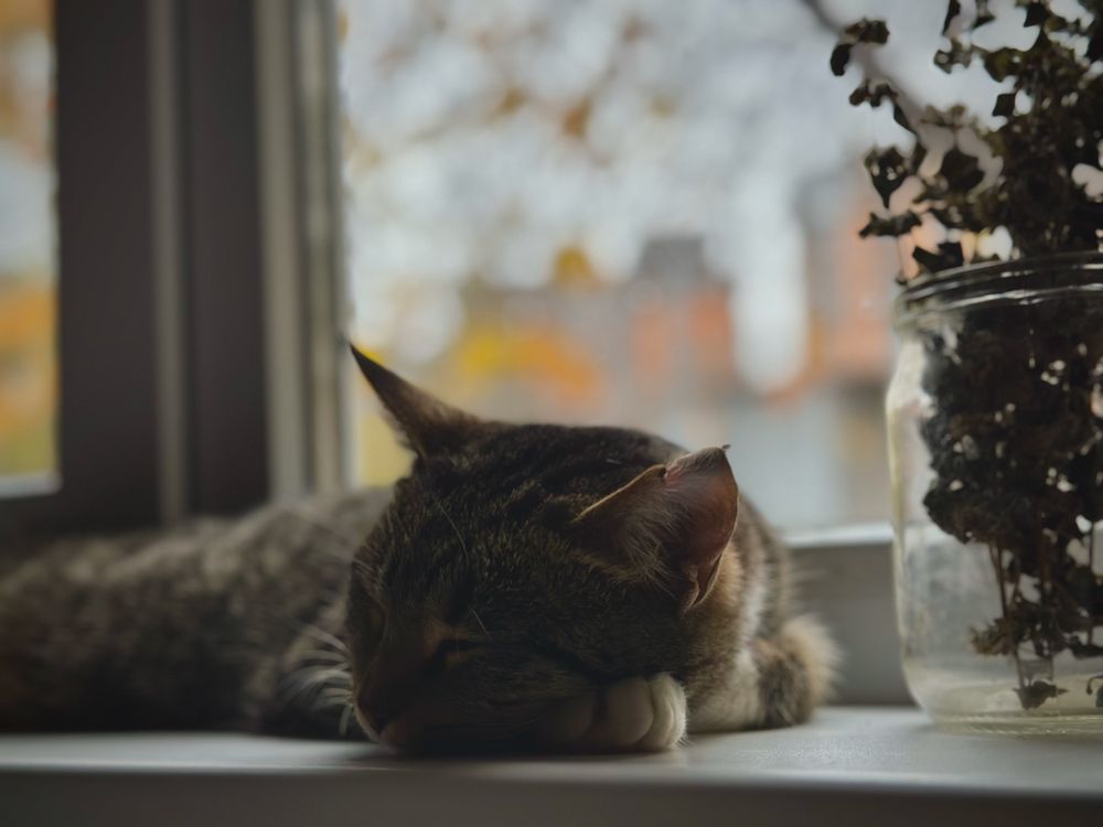 Photograph by Maxim Butz