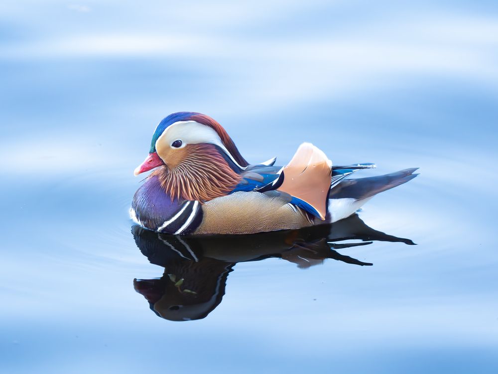 Photograph by Shebin Philip