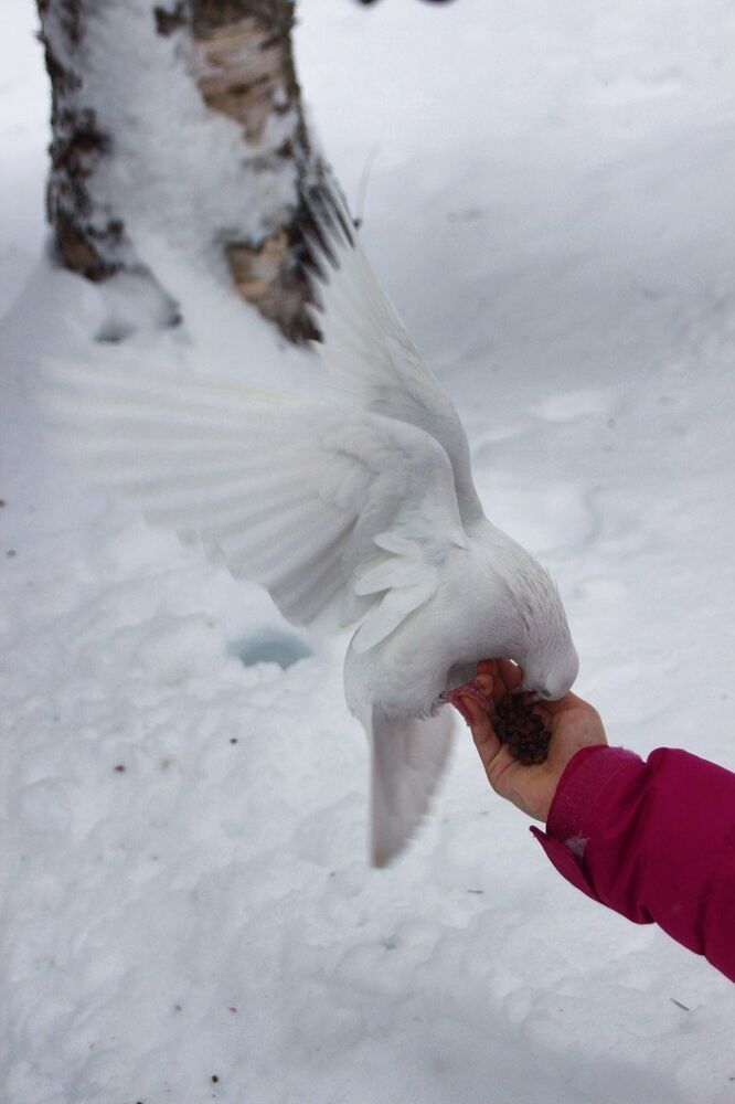 Photograph by Elena Edeleva Еделева