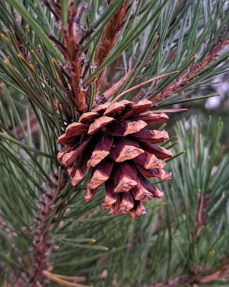 Photograph by Оксана Юдина