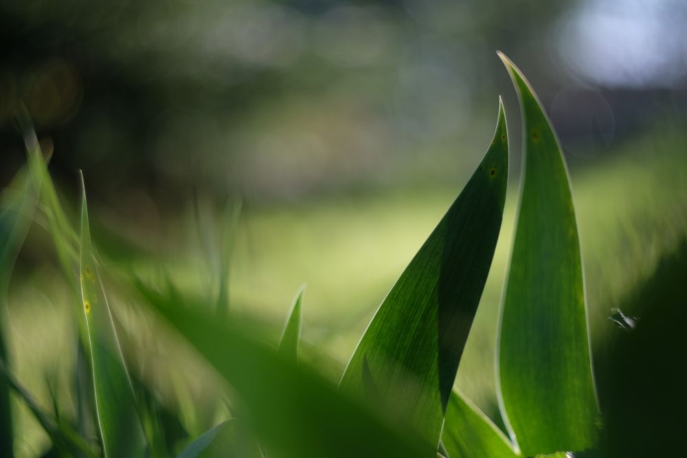 Photograph by Вадим Зрюев