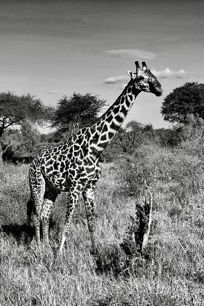 Фотография автора Emi D