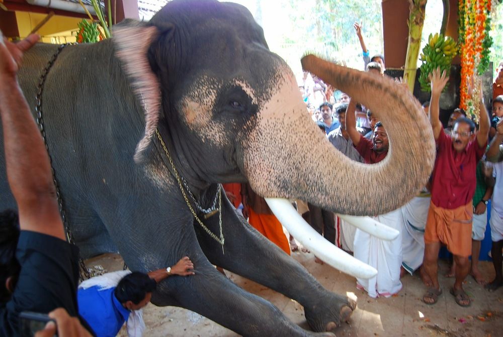 Фотография автора Sajeev Krishnan