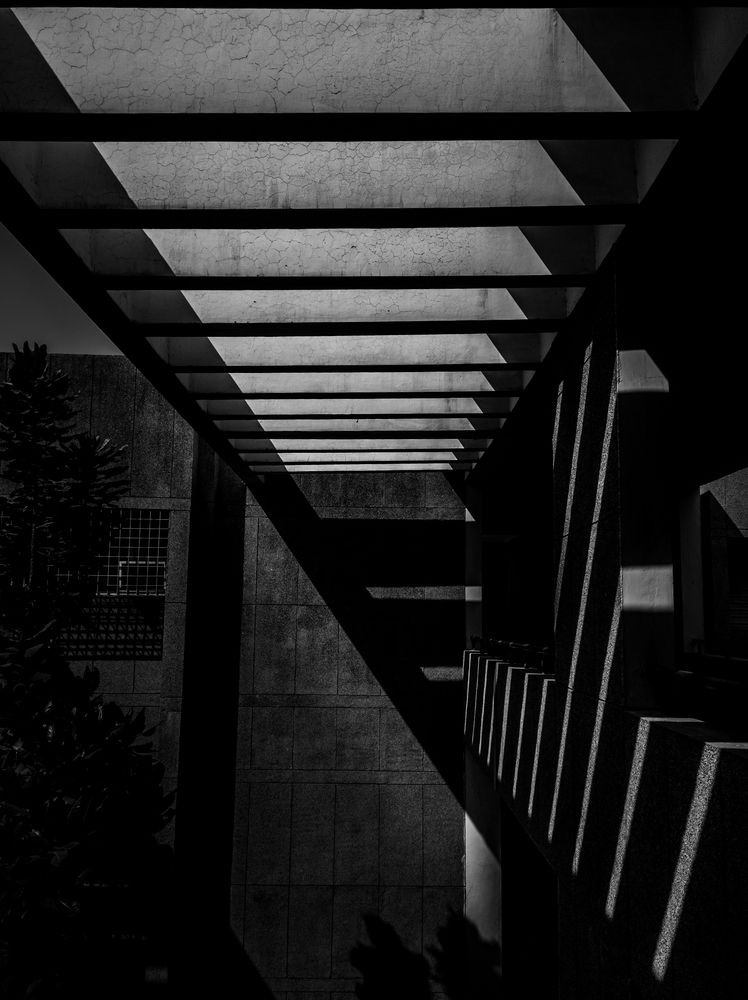 Photograph by Dhruv Mistry