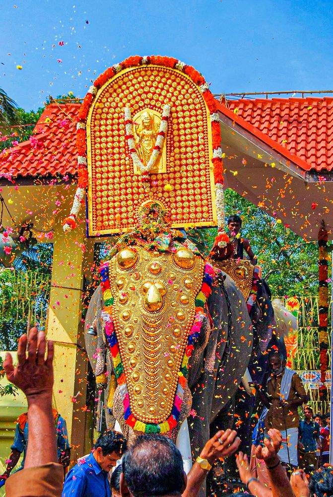 Фотография автора Sajeev Krishnan