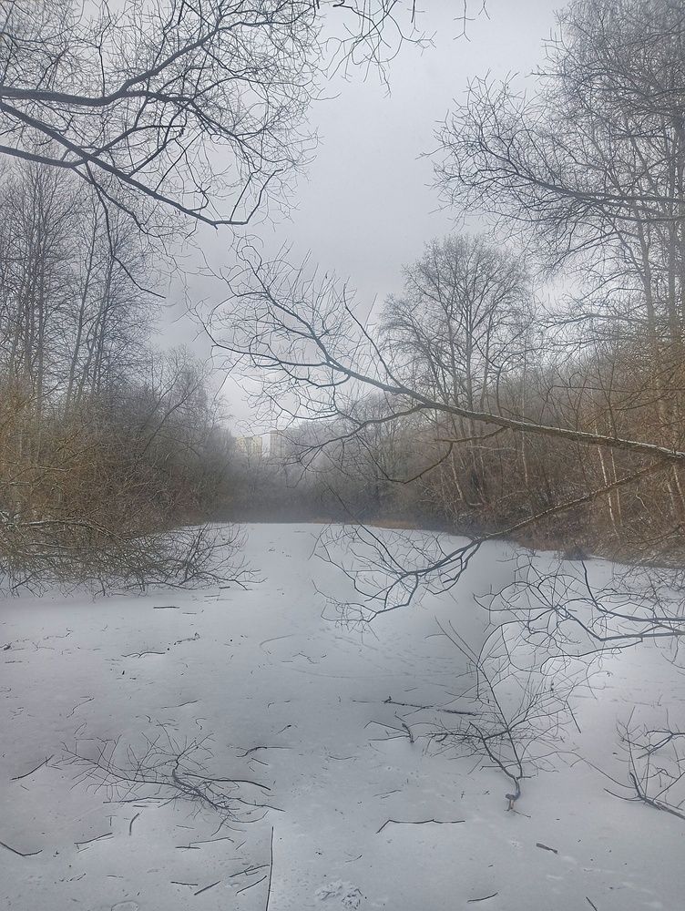 Photograph by Николь Николь