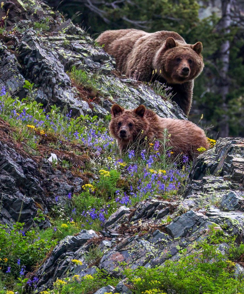 Фотография автора Addie Ahern