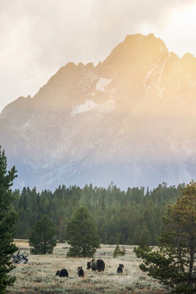 Фотография автора Addie Ahern