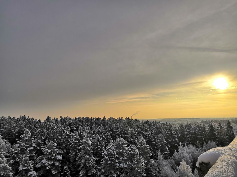 Photograph by Алина Демидова