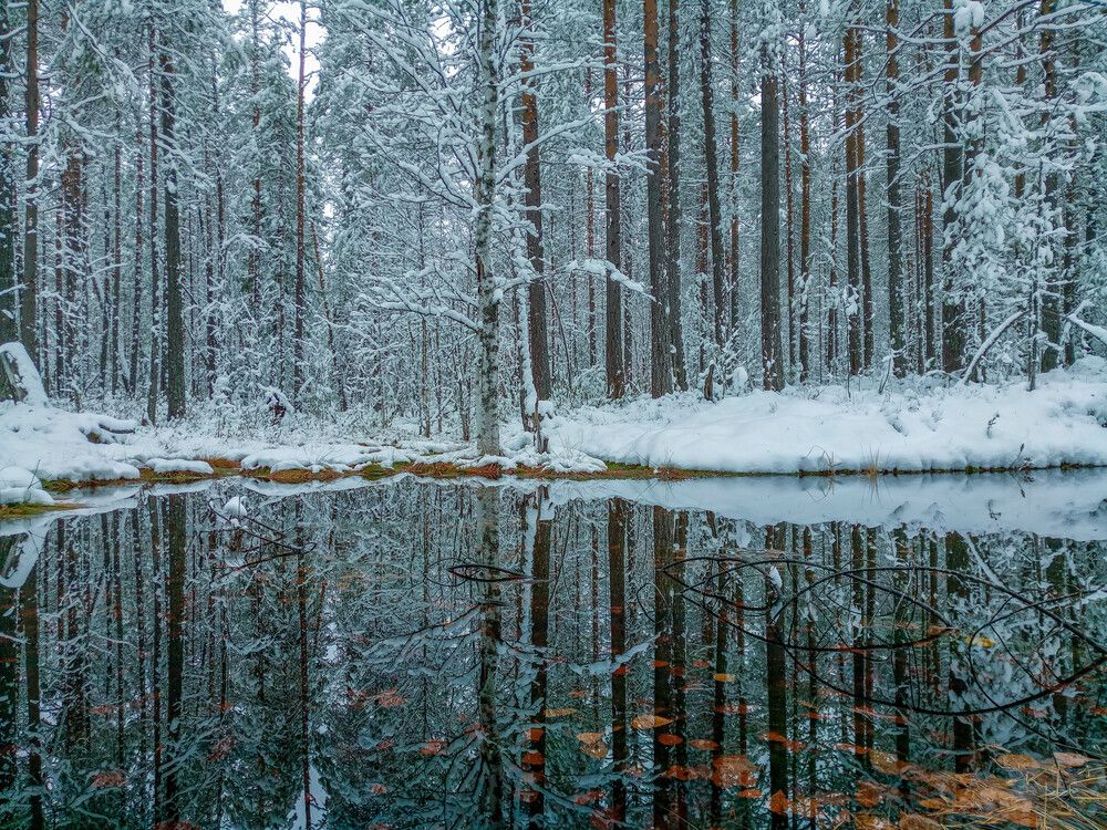 Photograph by Алина Демидова