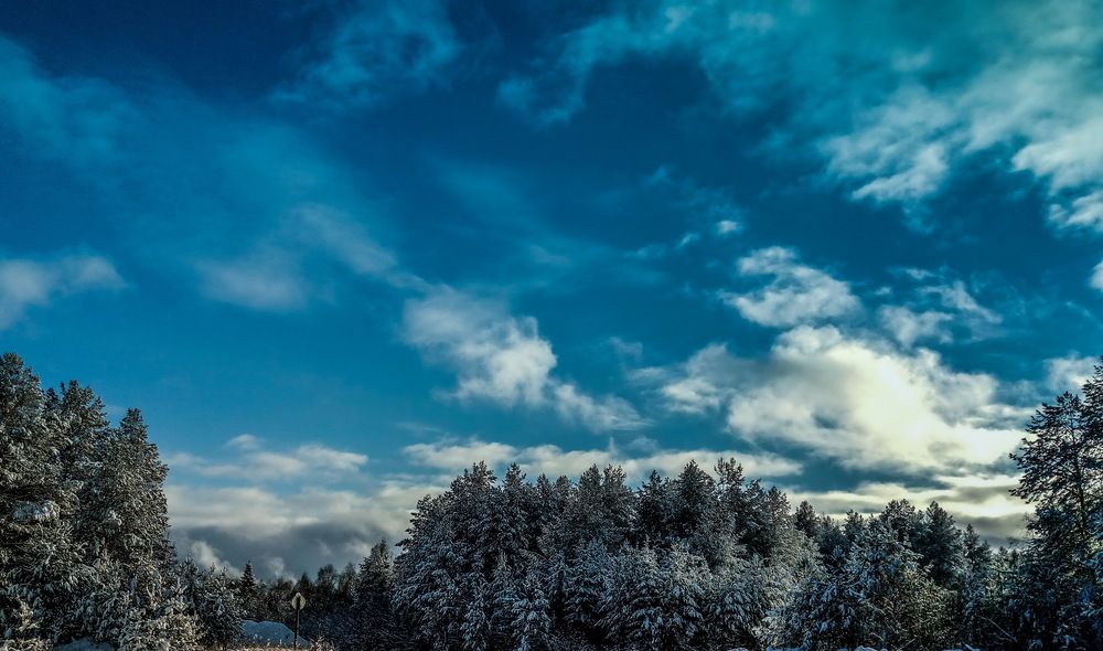 Photograph by Алина Демидова