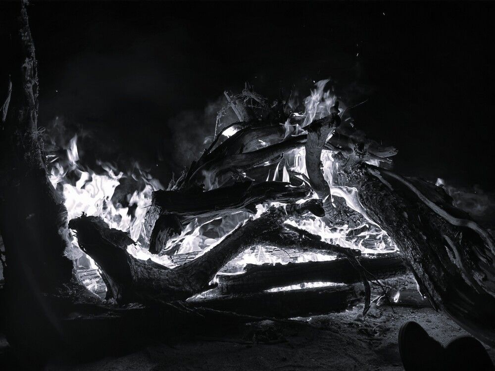 Photograph by Алина Демидова