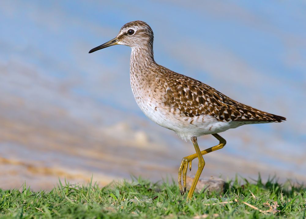 Photograph by Amin Maleki