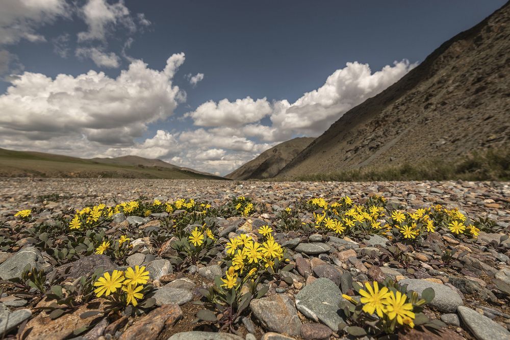 Photograph by Александр Щербаков