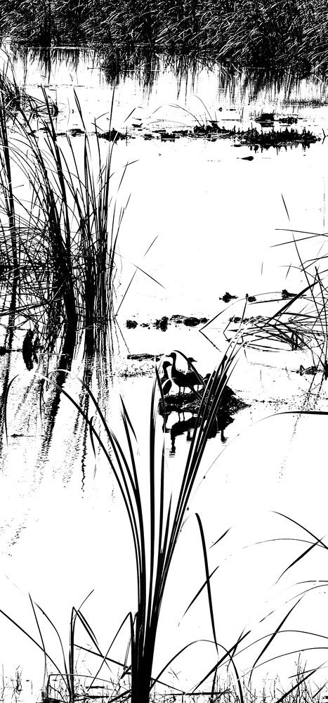 Photograph by Анна Далингер