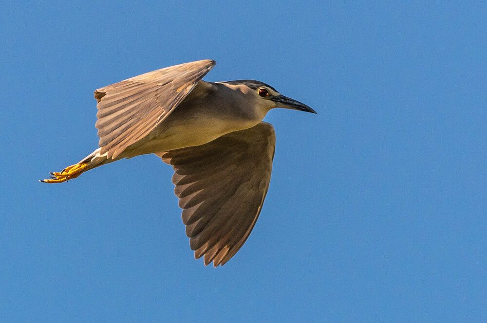 Photograph by Александр Щербаков