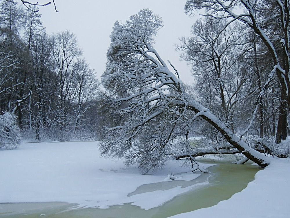 Photograph by Галина Пименова