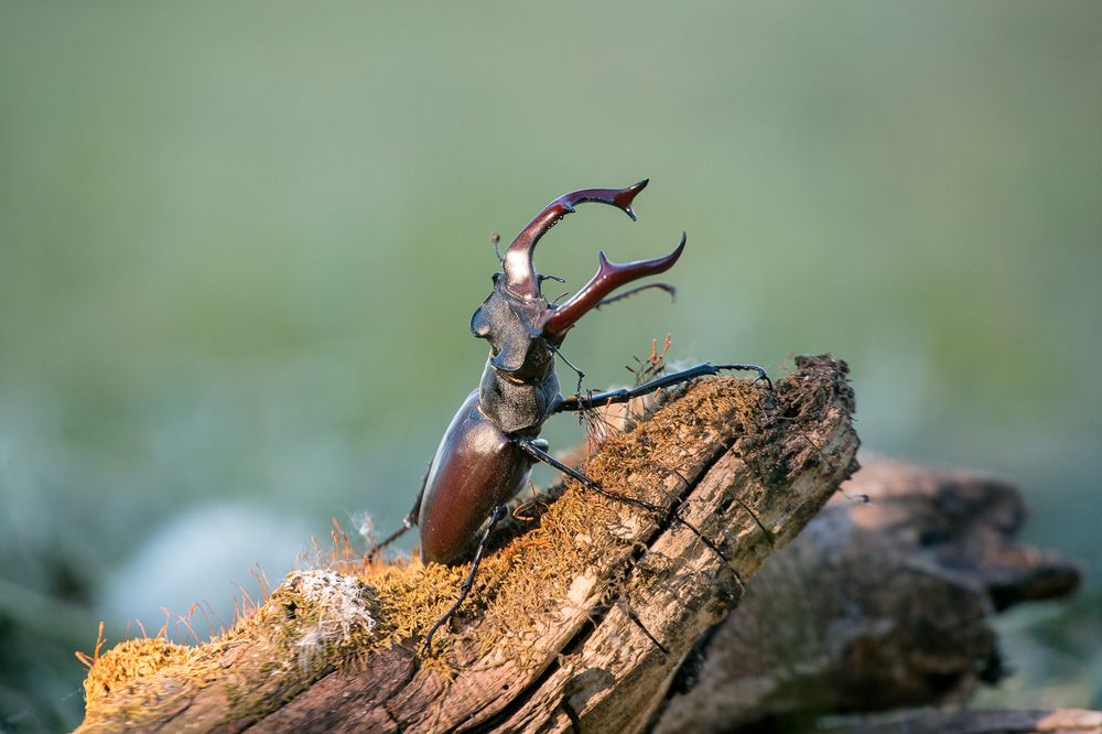 Photograph by Алексей Юденков