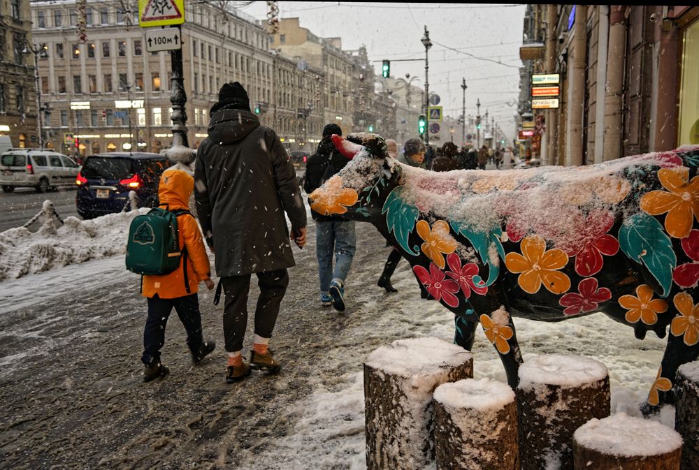 Photograph by Игорь Чижов