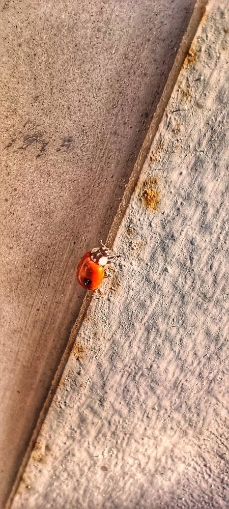 Photograph by Валентин Волк