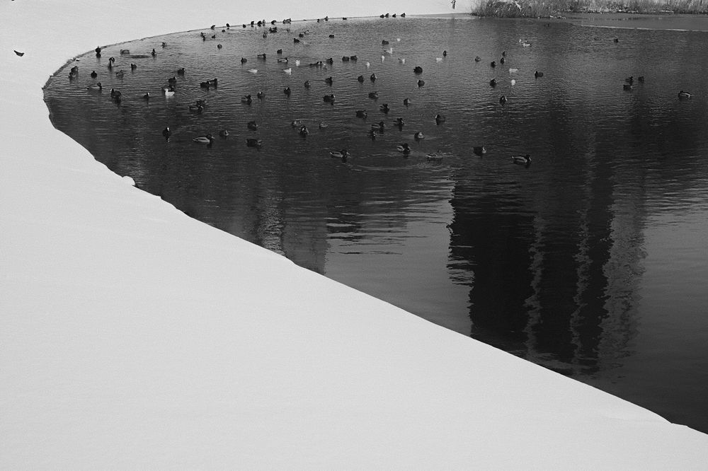 Photograph by Пиленгас Александр