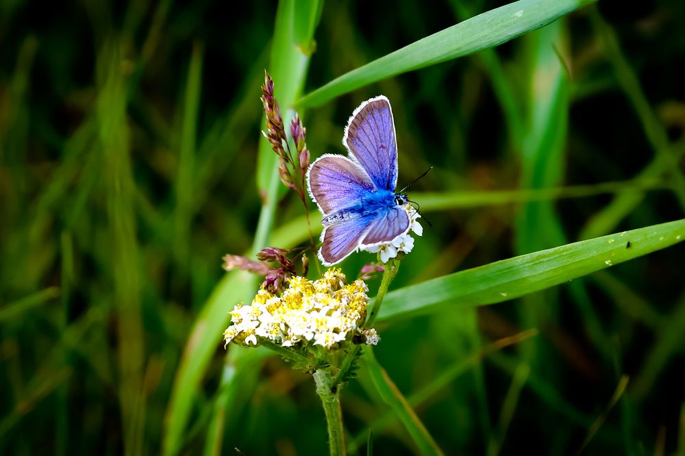 Photograph by Владимир Говоров
