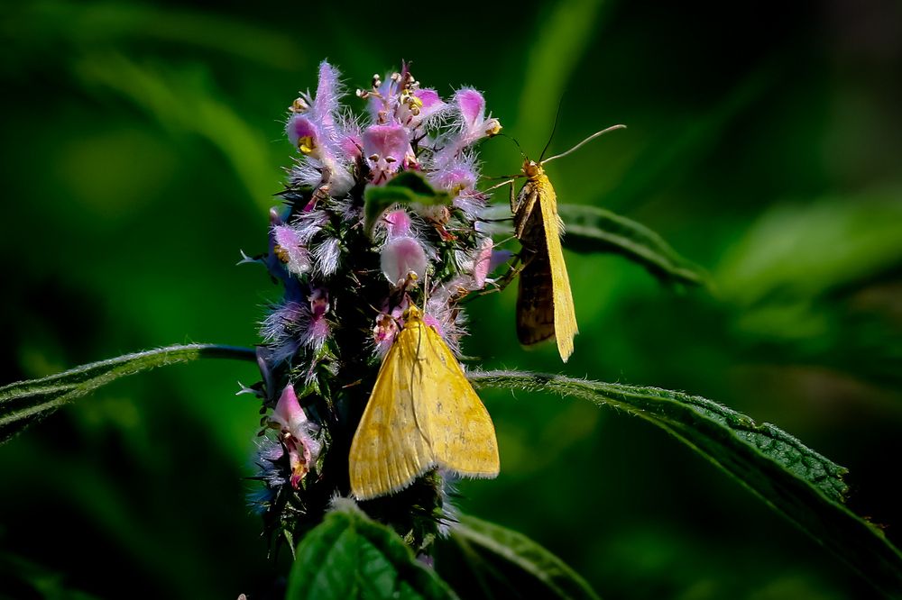 Photograph by Владимир Говоров