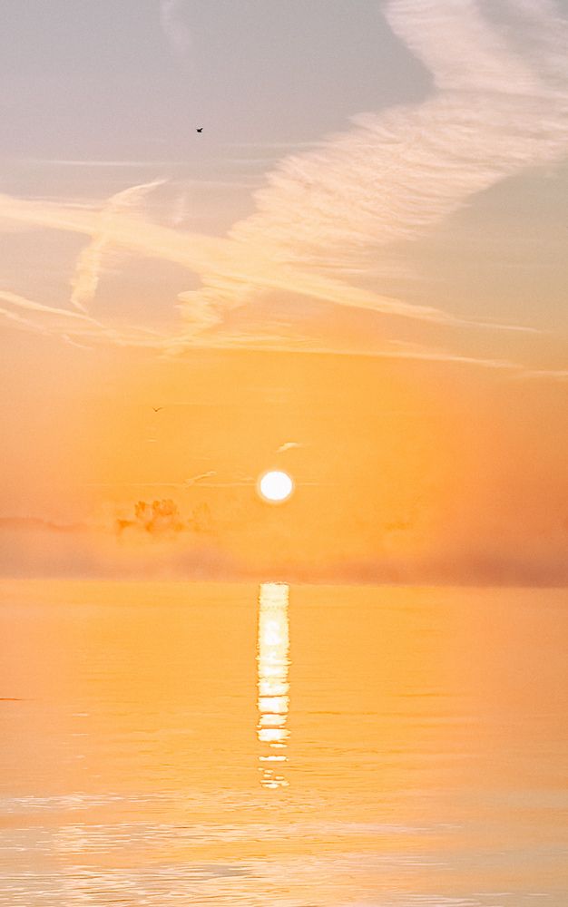 Фотография автора Иващенко Виктория