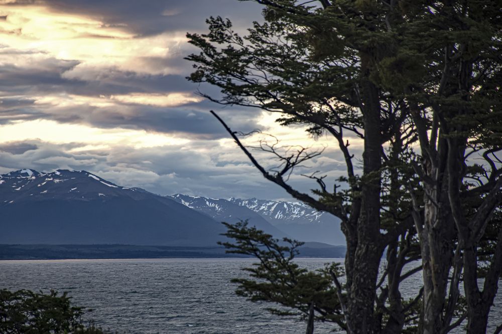 Photograph by Sandra Arena