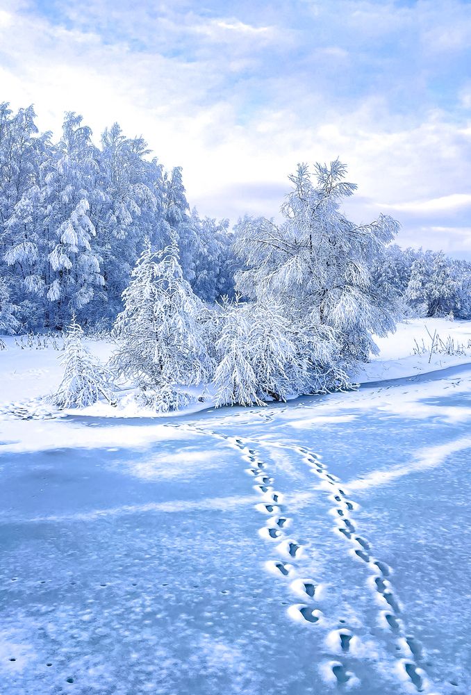 Фотография автора Иващенко Виктория