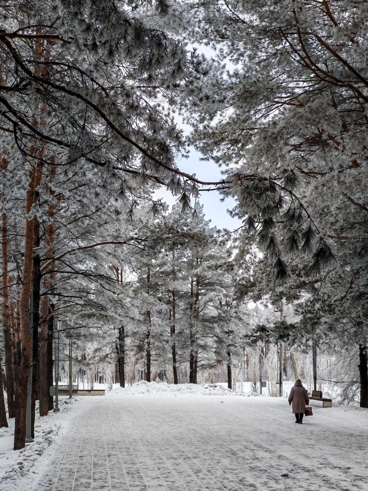 Photograph by Олега Тор