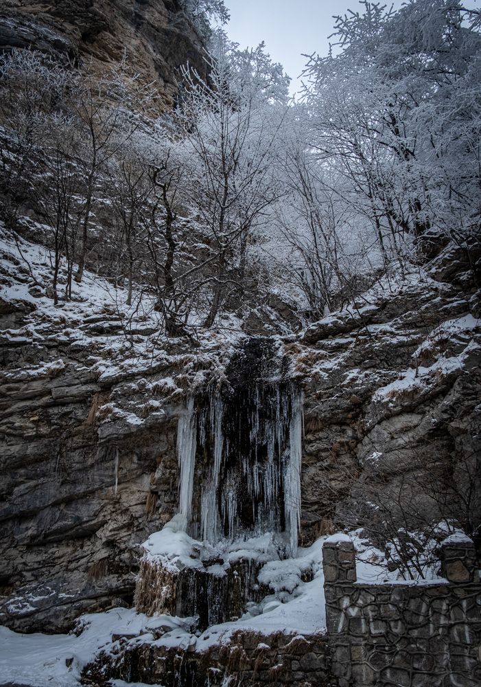 Photograph by Дмитрий Плотников