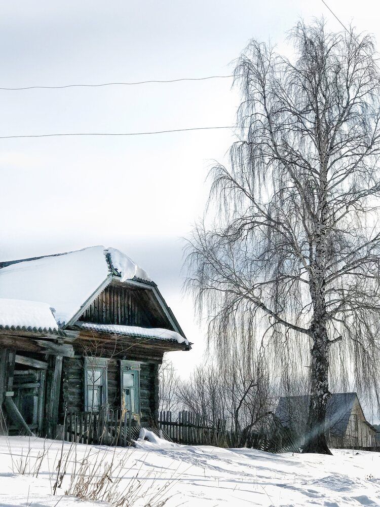 Фотография автора Иващенко Виктория