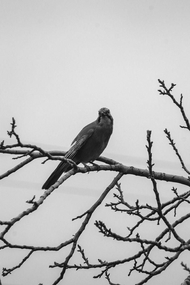 Photograph by Оксана Михайлова