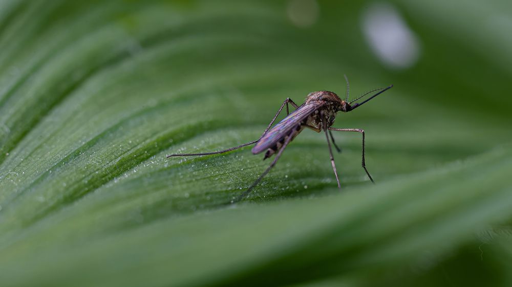 Photograph by Вадим Басов