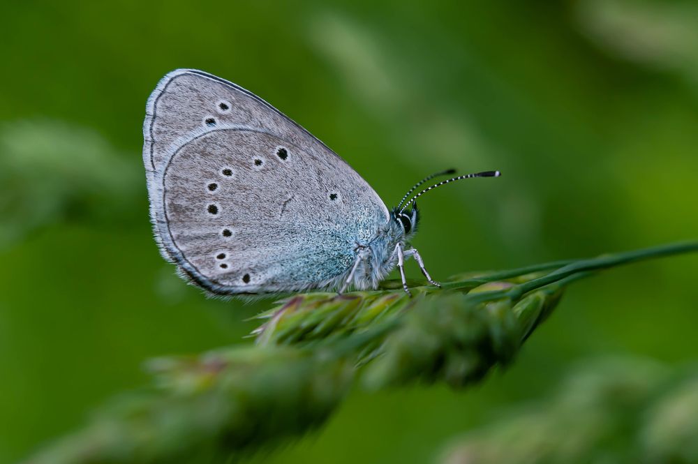 Photograph by Вадим Басов