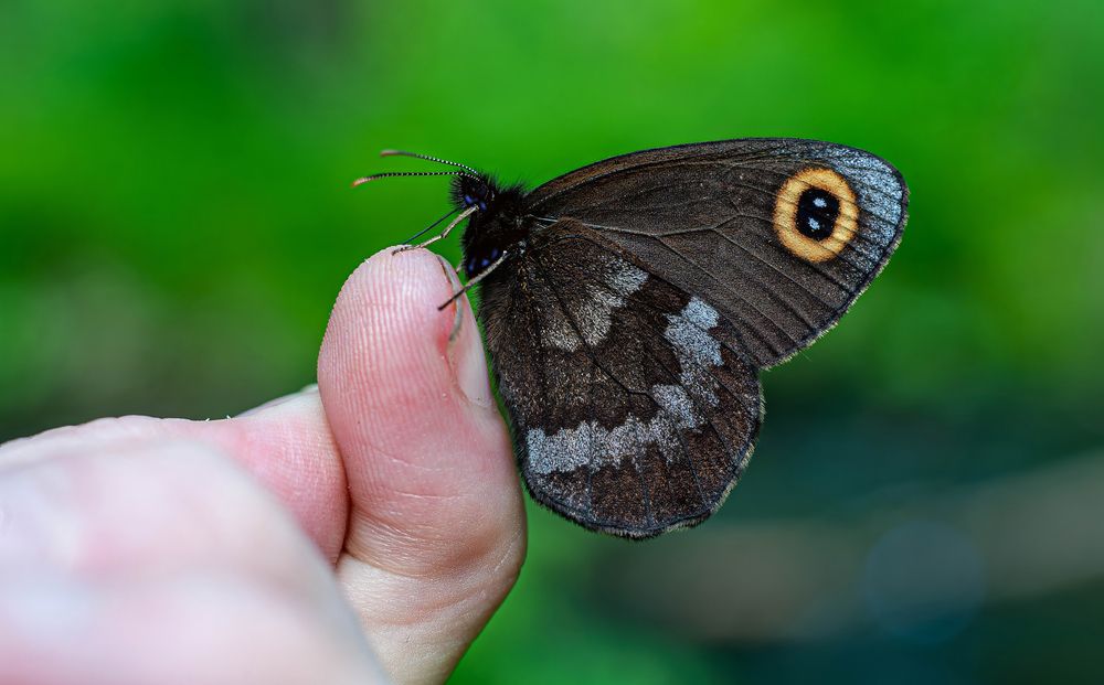Photograph by Вадим Басов