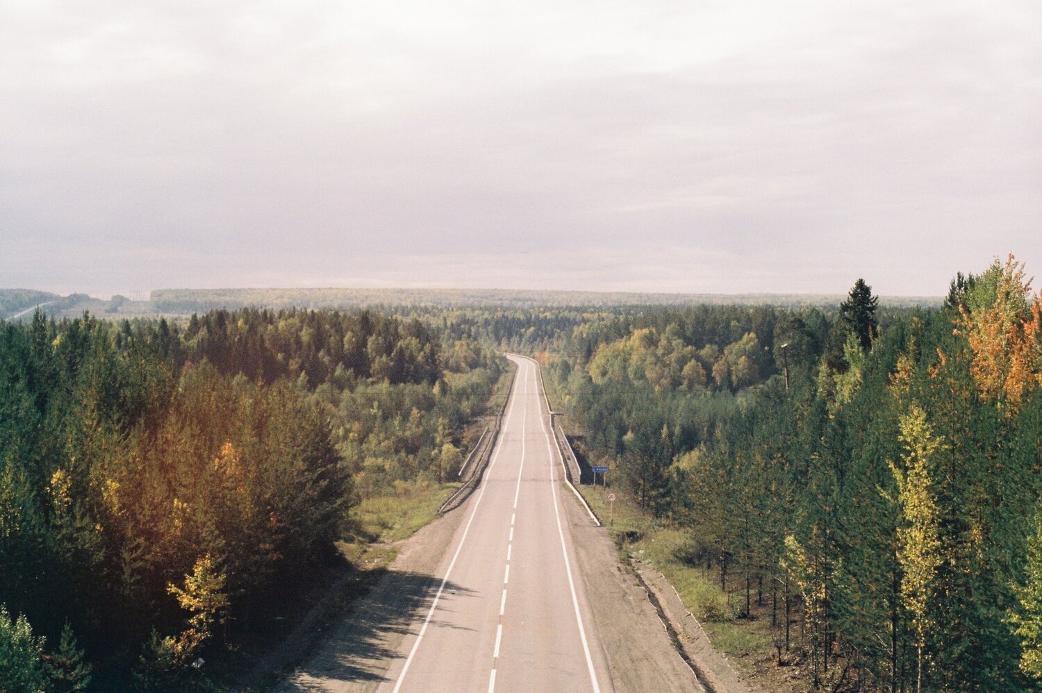 Photo #11876317